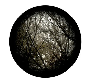 Rosco "Cool Ink HD" Autumn Branches Pattern for LED Fixtures Only