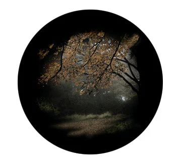 Rosco "Cool Ink HD" Autumn Glade Pattern for LED Fixtures Only