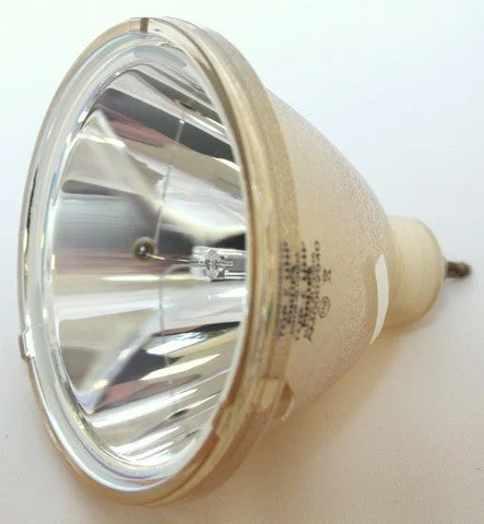 UHP 120-100W 1.3 P23 Original Projector Bulb