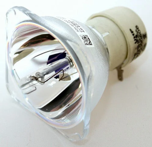 UHP 220-150W 1.0 E20.6 Philips Original Projector Bulb