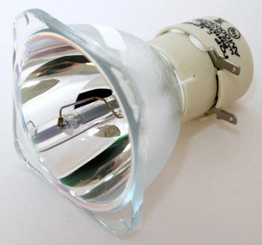 UHP 260-220W 1.0 E20.9 Philips Original Projector Bulb